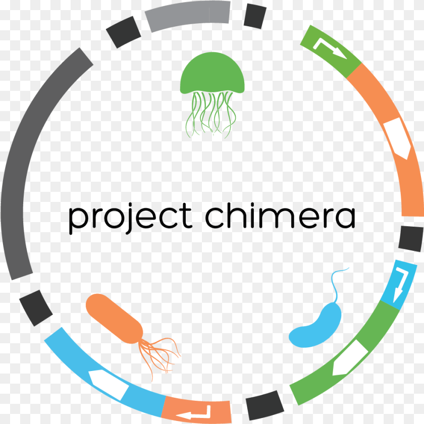 Chimeraplasmid Circle, Animal, Sea Life, Invertebrate, Jellyfish Sticker PNG