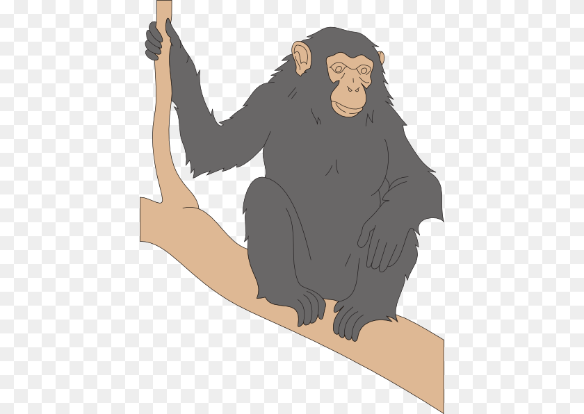 Chimp Sitting On A Branch Clip Art, Animal, Ape, Wildlife, Mammal Sticker PNG