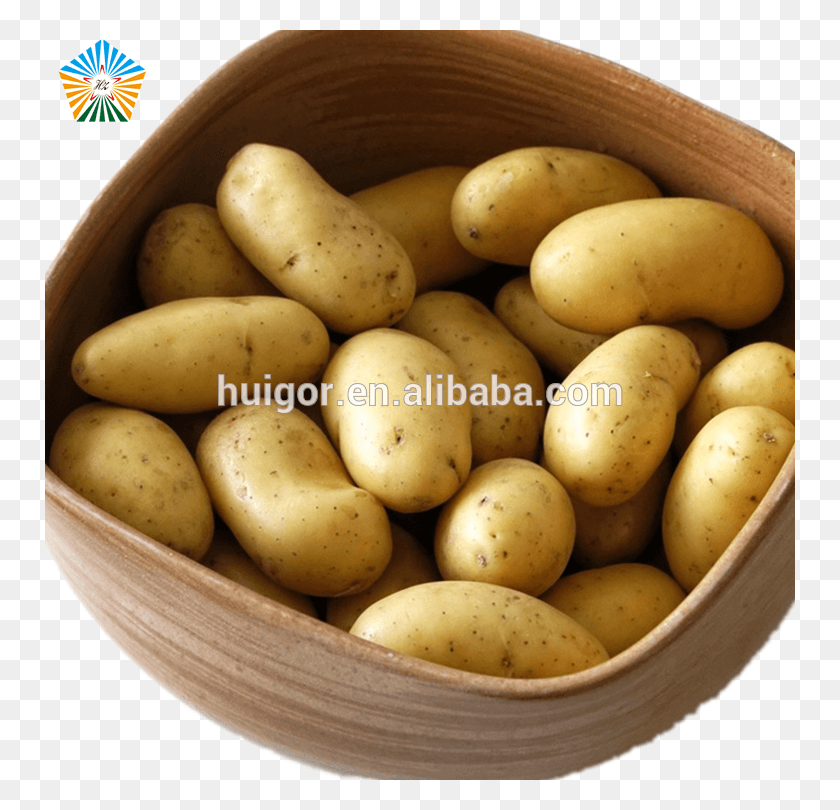 750x750 China Potato Products Manufacturer Of China China Russet Burbank Potato, Vegetable, Plant, Food HD PNG Download