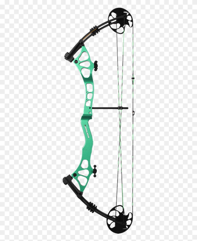 313x966 China Sanlida Recreation Shooting Target Compound Bow Target Archery, Sport, Sports, Guitar HD PNG Download