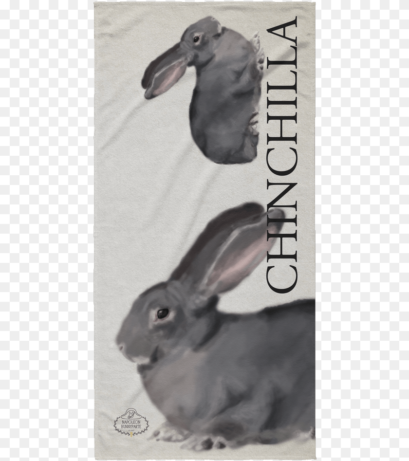 460x947 Chinchilla Rabbit Beach Towel No5 Chambers, Animal, Hare, Mammal, Rodent Sticker PNG