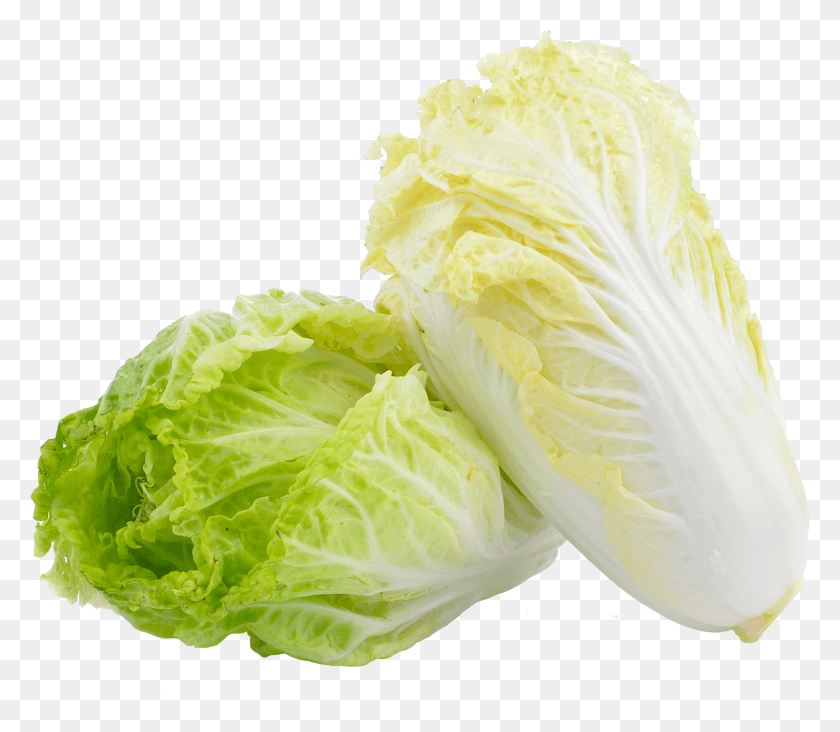 2567x2212 Chinese Cabbage HD PNG Download