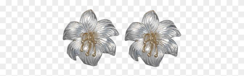 411x203 Chinese Hibiscus, Jewelry, Accessories, Accessory HD PNG Download