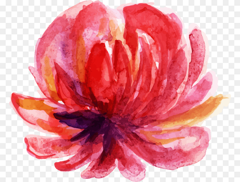 778x636 Chinese Peony, Dahlia, Flower, Petal, Plant Clipart PNG