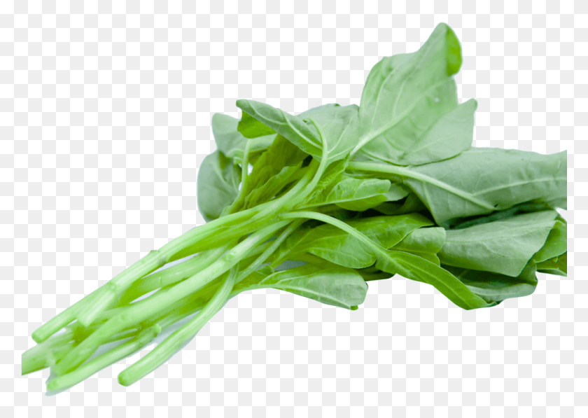 1025x706 Chinese Spinach Image Spinach, Plant, Vegetable, Food HD PNG Download
