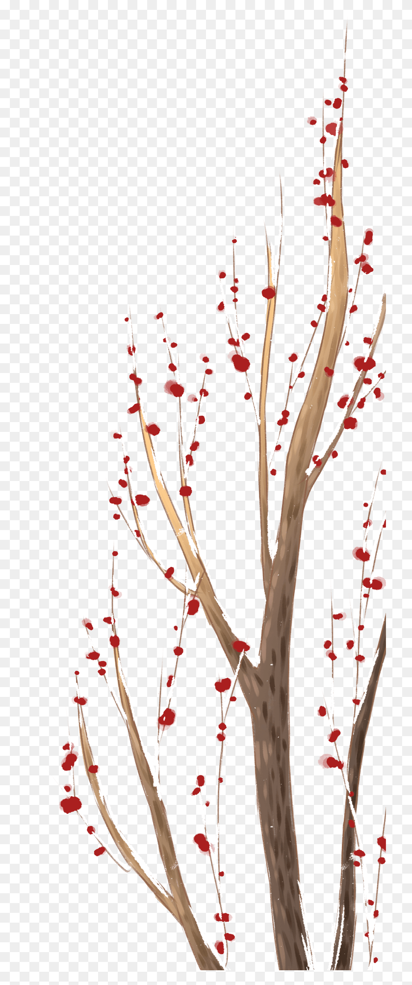 735x1947 Chinese Style Fresh Hand Drawn Illustration And Birch, Plant, Flower, Blossom HD PNG Download