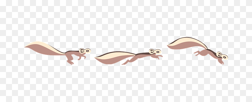 Chipmunk Animal, Gecko, Lizard, Reptile PNG