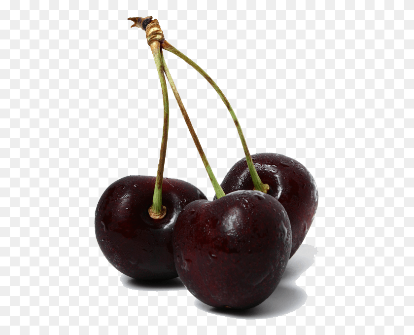 460x619 Descargar Png / Fruta Hd Png