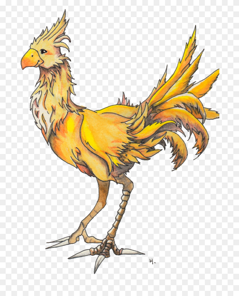 702x978 Chocobo, Chicken, Poultry, Fowl HD PNG Download