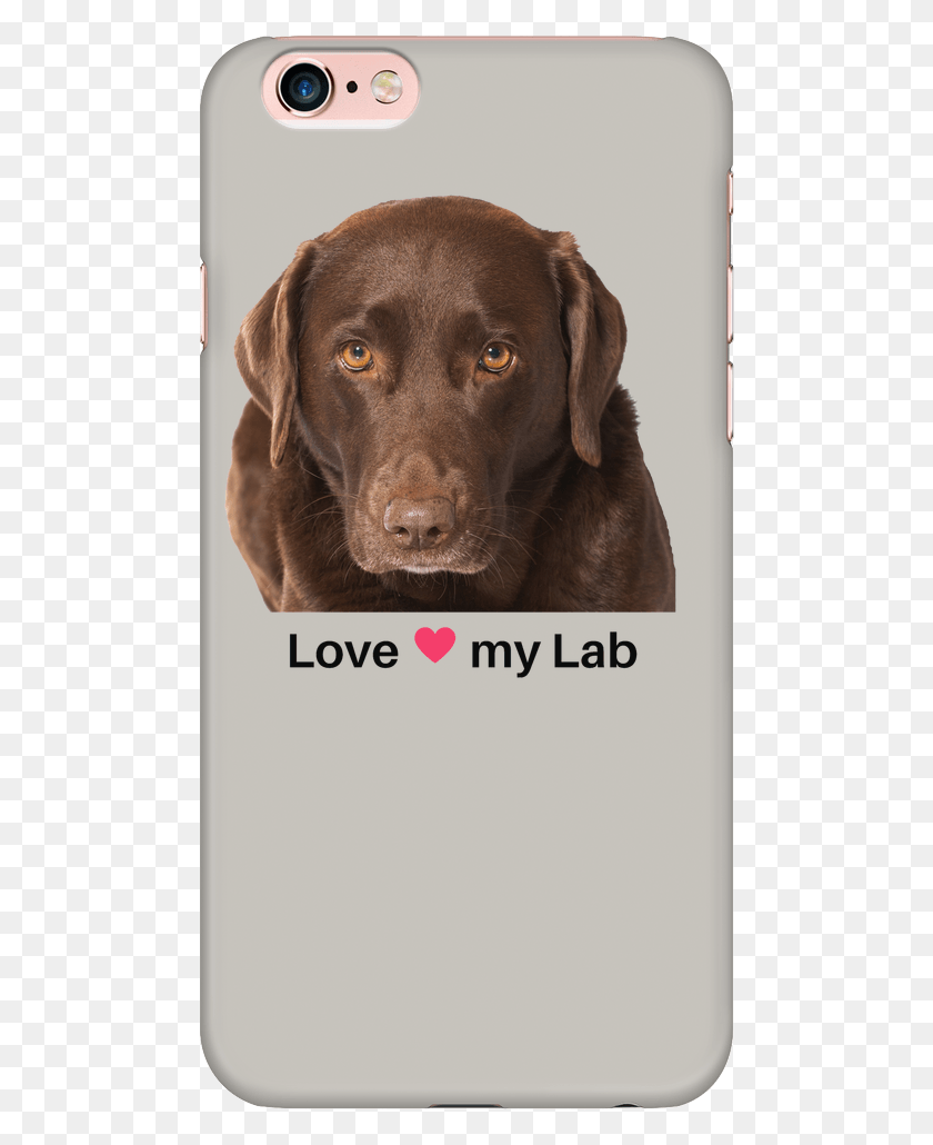 483x970 Chocolate Lab Iphone Case Labrador Retriever, Labrador Retriever, Dog, Pet HD PNG Download