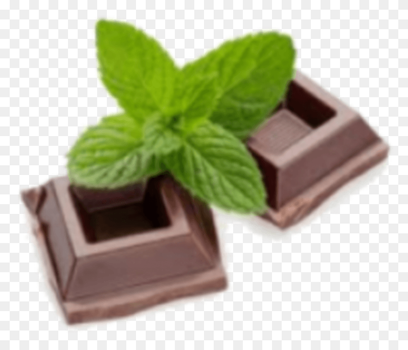 1042x882 Chocolate Menta Perfume, Potted Plant, Plant, Vase HD PNG Download