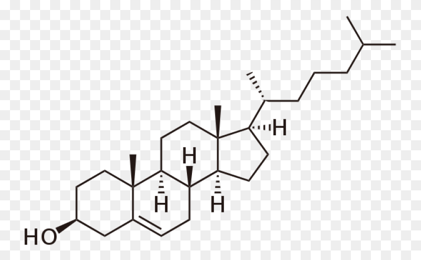 743x459 Moléculas De Colesterol, Cruz, Símbolo, Texto Hd Png