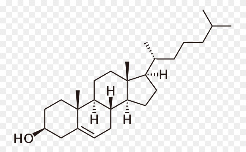 743x459 Cholesterol Molecules, Cross, Symbol, Text HD PNG Download