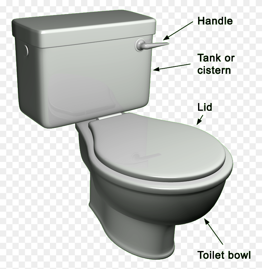 767x804 Choosing The Right Toilet For You Back Part Of Toilet, Room, Indoors, Bathroom HD PNG Download