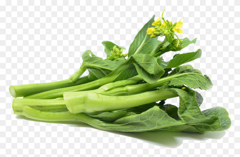 1978x1241 Choy Sum, Plant, Vegetable, Food HD PNG Download