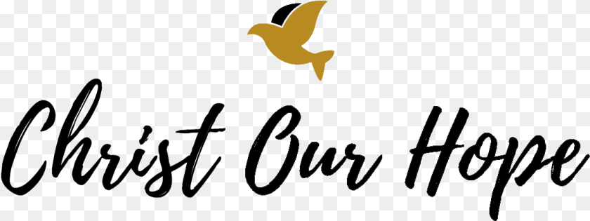 1102x413 Christ Our Hope Blog Calligraphy, Animal, Bird, Flying, Text Transparent PNG