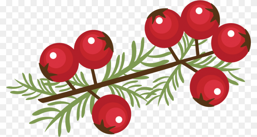 800x447 Christmas Berries Clip Art Christmas Berries Clip Art Christmas Berries, Conifer, Plant, Tree, Food Sticker PNG