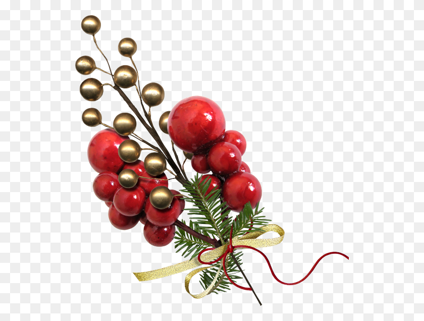 542x575 Christmas Bonus Kit Christmas Tree, Plant, Tree, Floral Design HD PNG Download