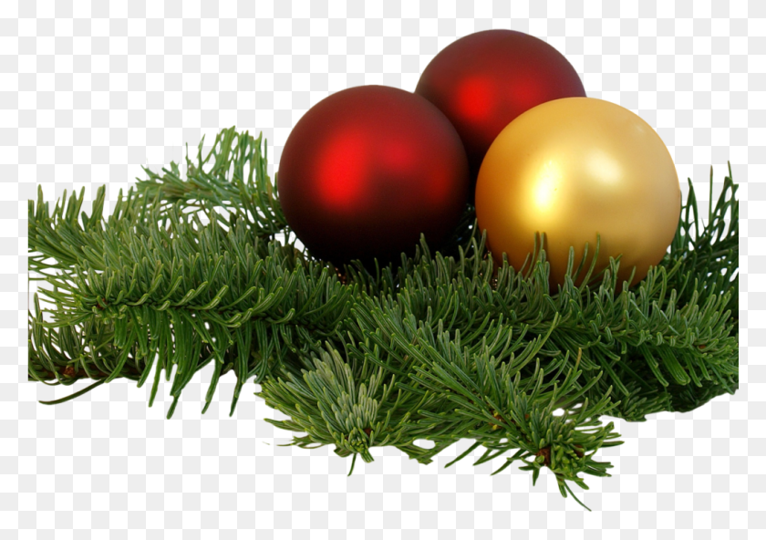 1025x700 Christmas Branch Transparent Image Real Christmas Ornaments, Sphere, Plant, Tree HD PNG Download