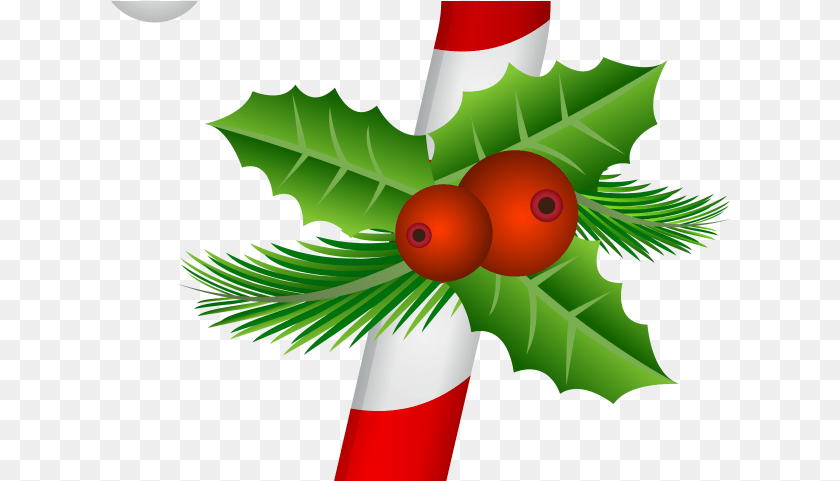 621x481 Christmas Candy Cane Leaf, Plant, Elf, Green Clipart PNG