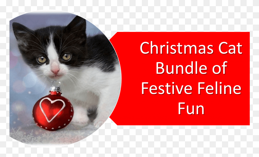 1139x660 Christmas Cat Quotes, Pet, Mammal, Animal HD PNG Download