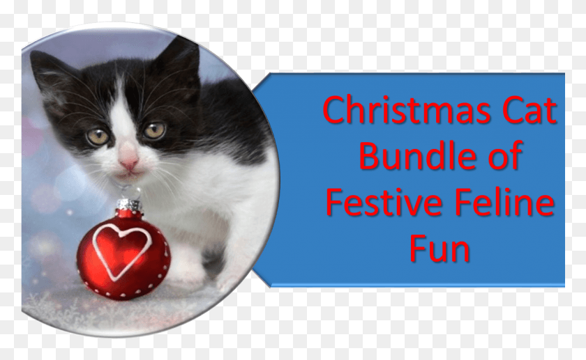 1126x661 Christmas Cat Quotes, Pet, Mammal, Animal HD PNG Download