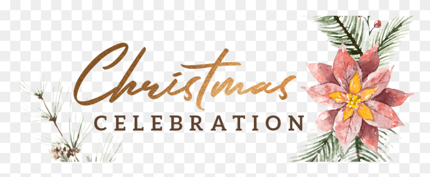 817x301 Christmas Celebration Christmas Celebration, Text, Handwriting, Alphabet HD PNG Download