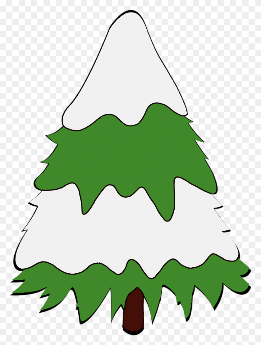 872x1176 Christmas Christmastree Tree Snow Merrychristmas Christmas Tree, Leaf, Plant, Fir HD PNG Download