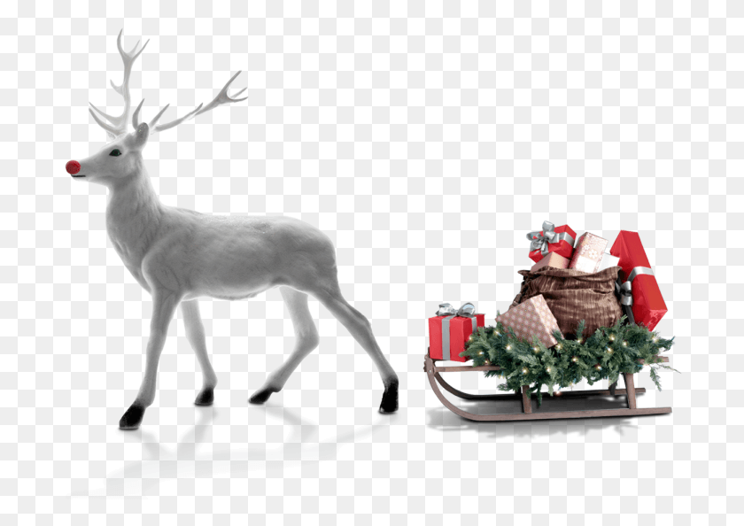 700x534 Christmas Deer Trolley Gift Snow Reno De Navidad Blanco, Antelope, Wildlife, Mammal HD PNG Download