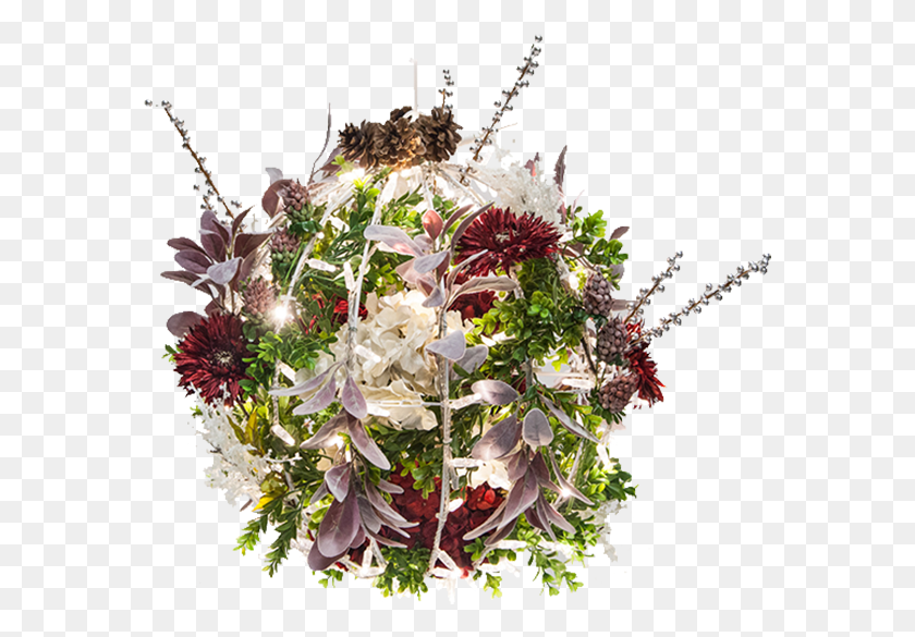 577x525 Рождественский Цветок, Световой Шар, Цветочный Шар, Растение, Цветение, Цветочная Композиция Hd Png Скачать