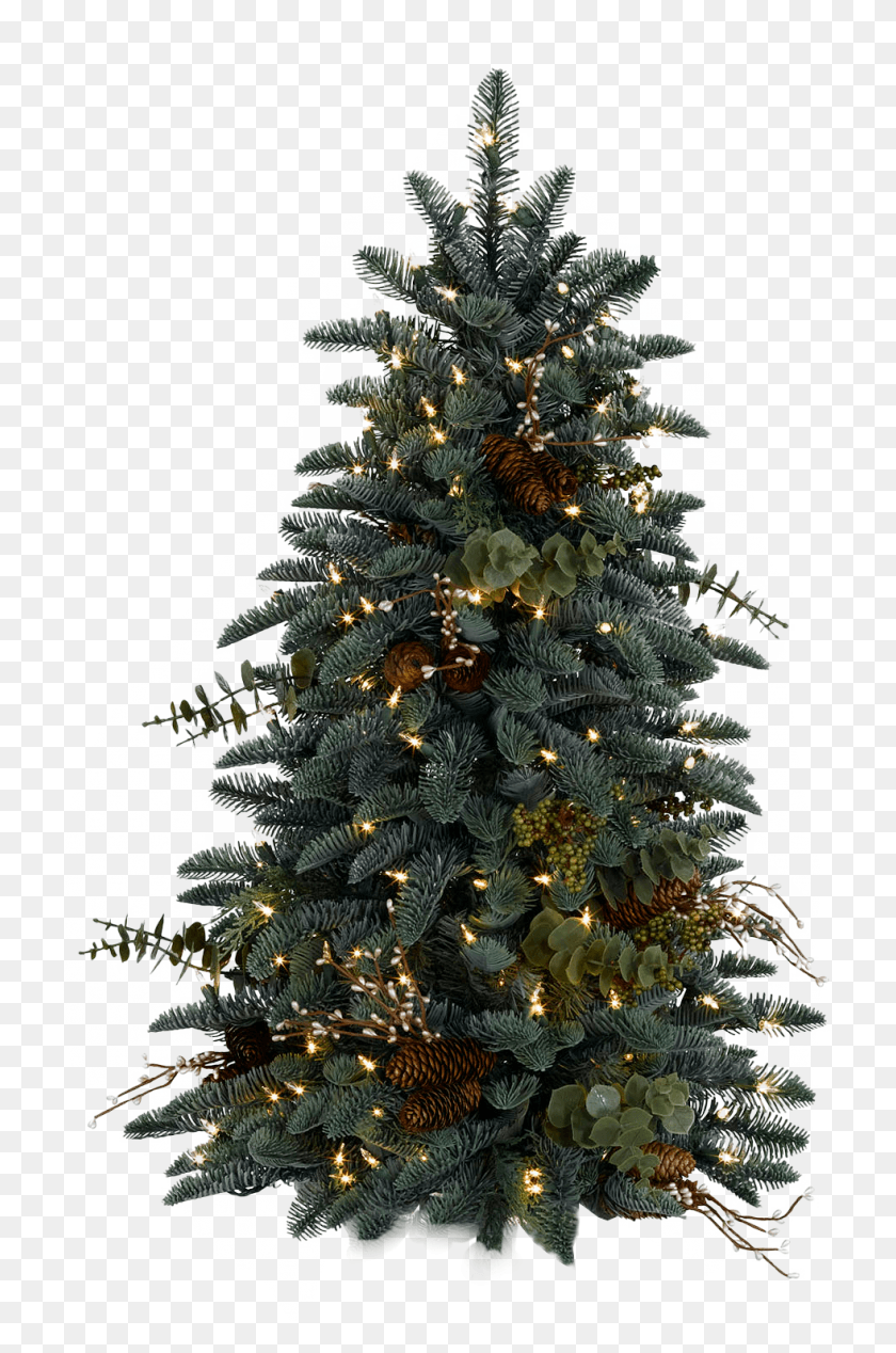 981x1520 Christmas Frames Christmas Paper Santa Sleigh Xmas Christmas Tree, Tree, Ornament, Plant HD PNG Download