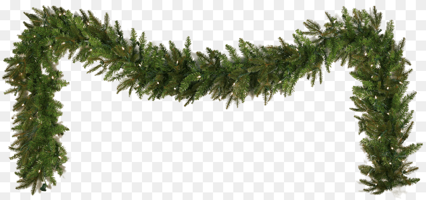 1500x706 Christmas Garland, Plant, Tree, Conifer, Pine Clipart PNG