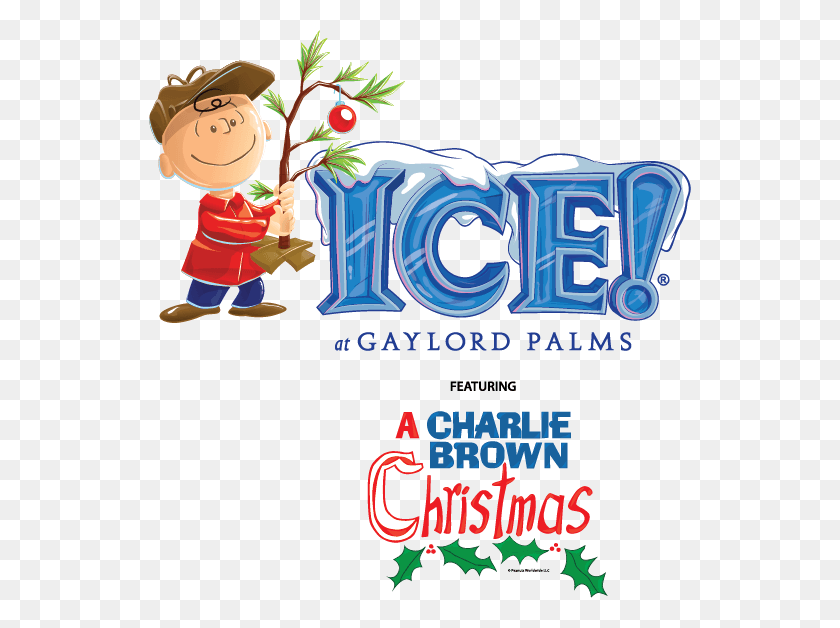 542x568 Christmas Gaylord Palms Charlie Brown July Gaylord Hotels, Outdoors, Poster, Advertisement HD PNG Download