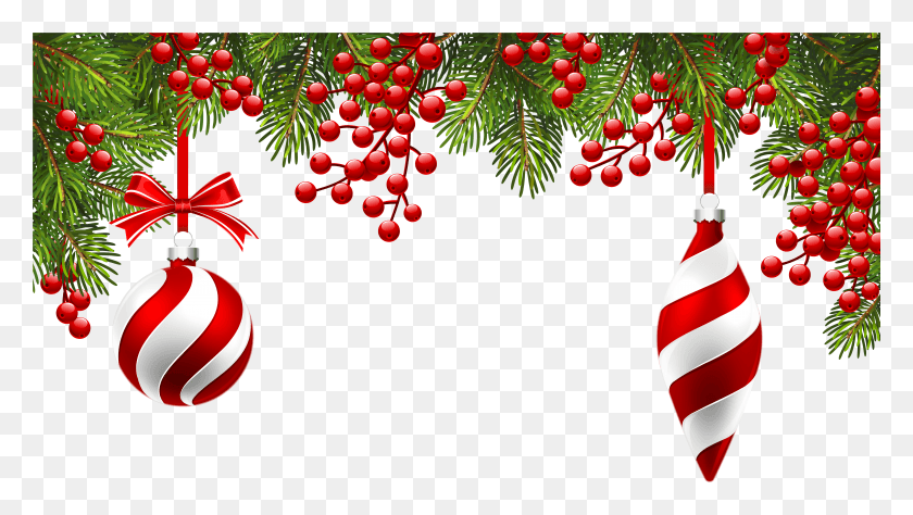 6241x3317 Christmas Gift Images, Tree, Plant, Conifer HD PNG Download