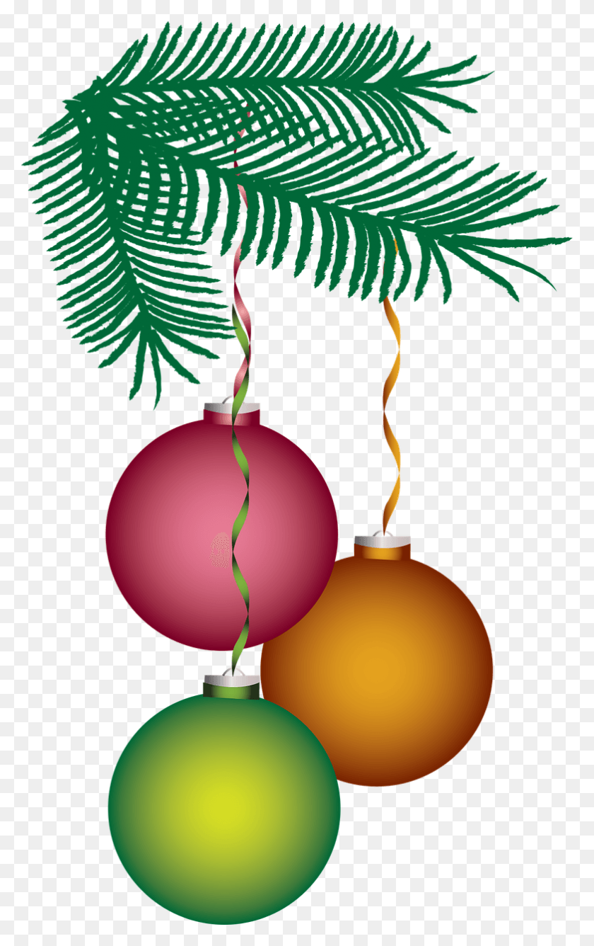 782x1280 Рождественские Украшения Png Изображения Enfeites De Natal Desenho, Орнамент, Дерево, Растение Png Скачать