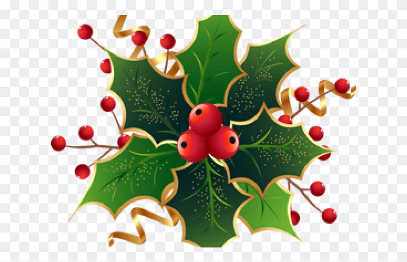 633x481 Christmas Holly, Leaf, Plant, Tree HD PNG Download
