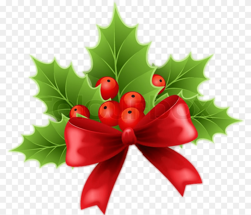 801x721 Christmas Holly Berries Christmas Holly Vector, Leaf, Plant, Flower, Accessories Transparent PNG