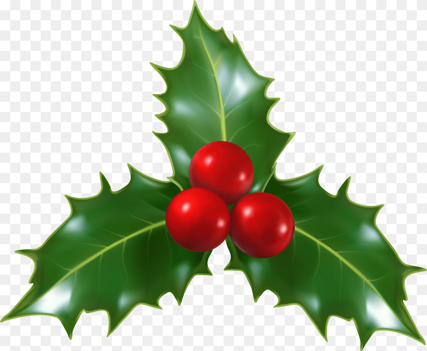 6140x5044 Christmas Holly Border Vector Christmas Holly Transparent PNG