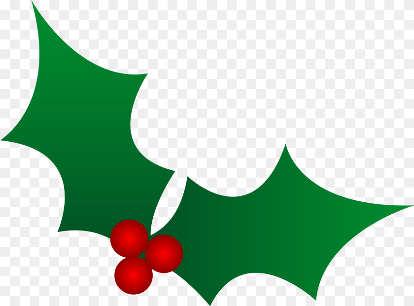 Christmas Holly Border Vector Clip Art Holly Leaf, Plant PNG