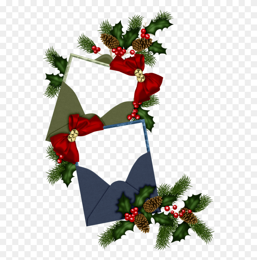 566x789 Christmas Holly Christmas Day, Tree, Plant, Graphics HD PNG Download