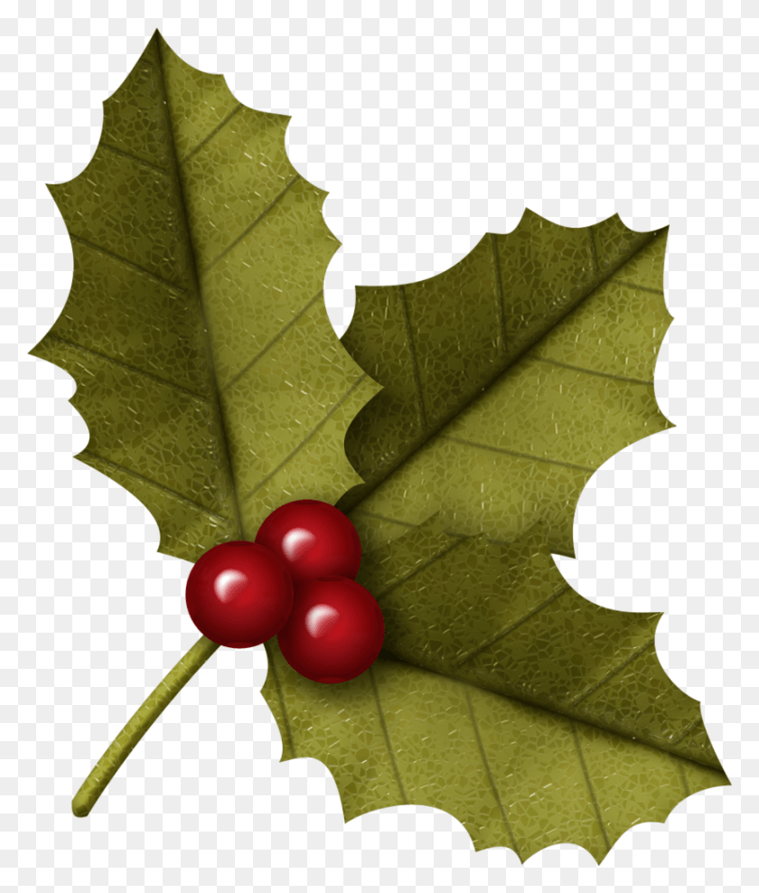 860x1024 Christmas Holly Clip Art Clip Art, Plant, Fruit, Food HD PNG Download