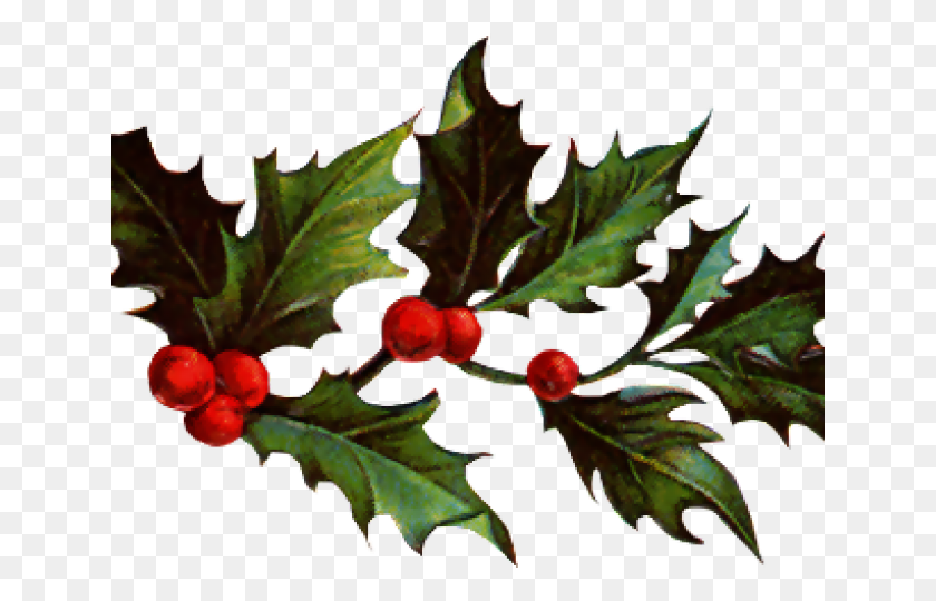 640x480 Christmas Holly Graphics American Holly, Leaf, Plant, Tree HD PNG Download