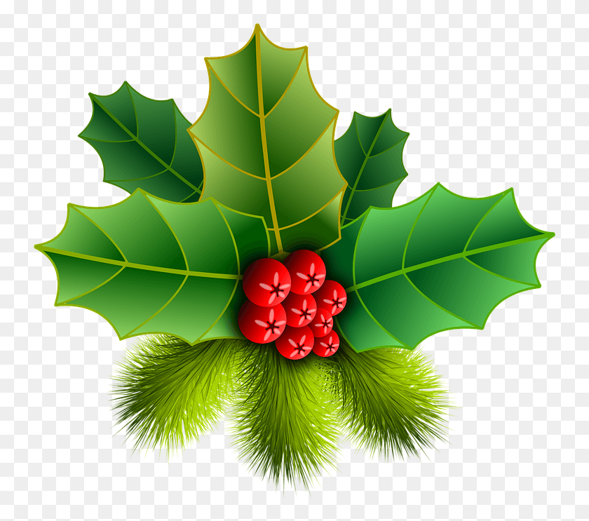 749x683 Christmas Holly Picture Christmas Holly Pinheiro Free American Rose Flowers, Leaf, Plant, Fruit HD PNG Download