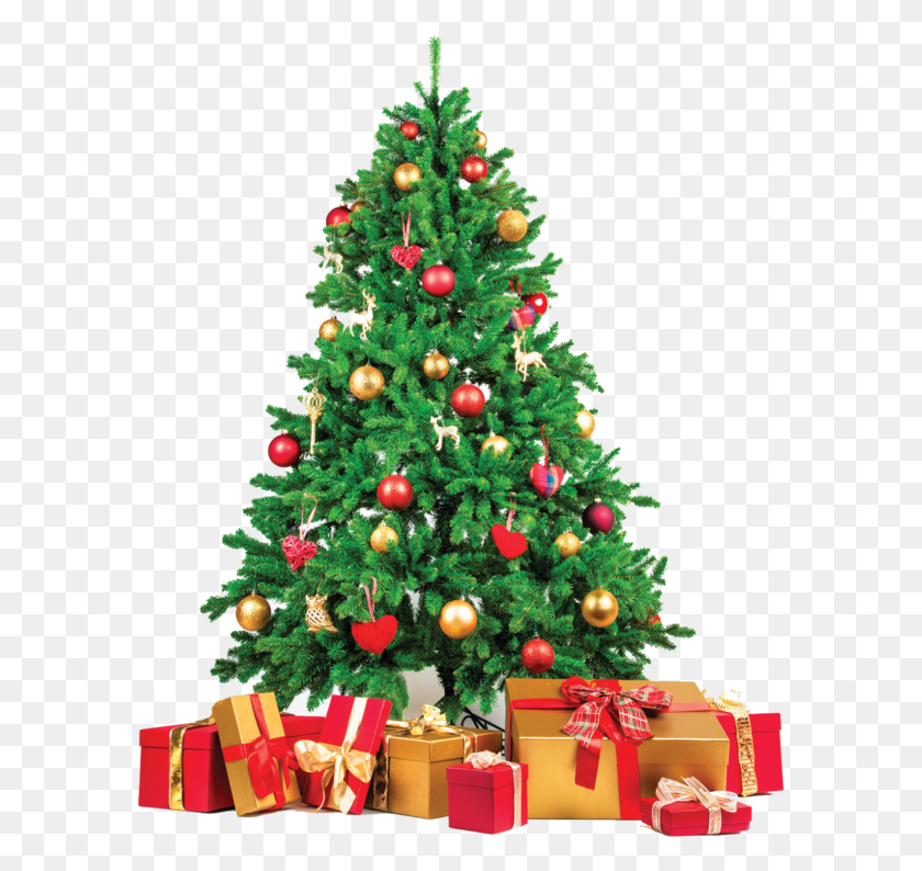 591x734 La Navidad En La Ciudad Se Llevará A Cabo El Domingo Por La Tarde Árbol De Navidad Con Bolas Azules Y Plateadas, Árbol, Adorno, Planta Hd Png Descargar