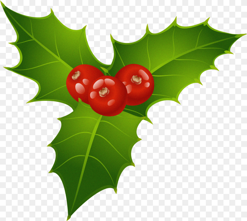 1350x1208 Christmas Mistletoe Gal Images Christmas Mistletoe Leaf, Plant, Food, Fruit Clipart PNG