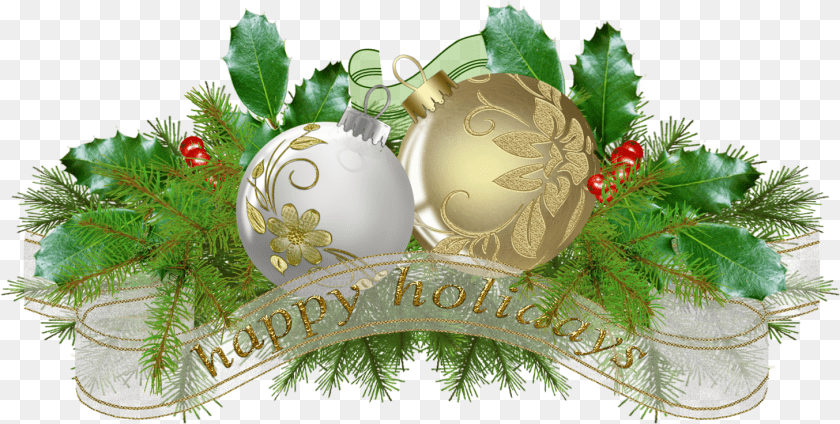 Christmas Ornament, Plant, Christmas Decorations, Festival Sticker PNG