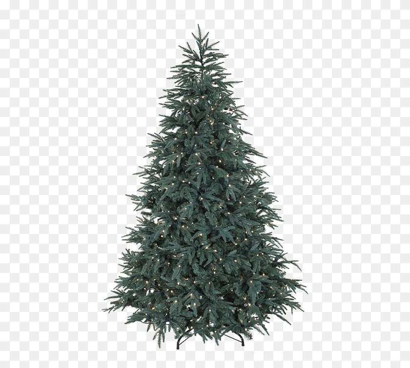 463x695 Christmas Outside Transparent Fir Tree On White Background, Christmas Tree, Ornament, Plant HD PNG Download