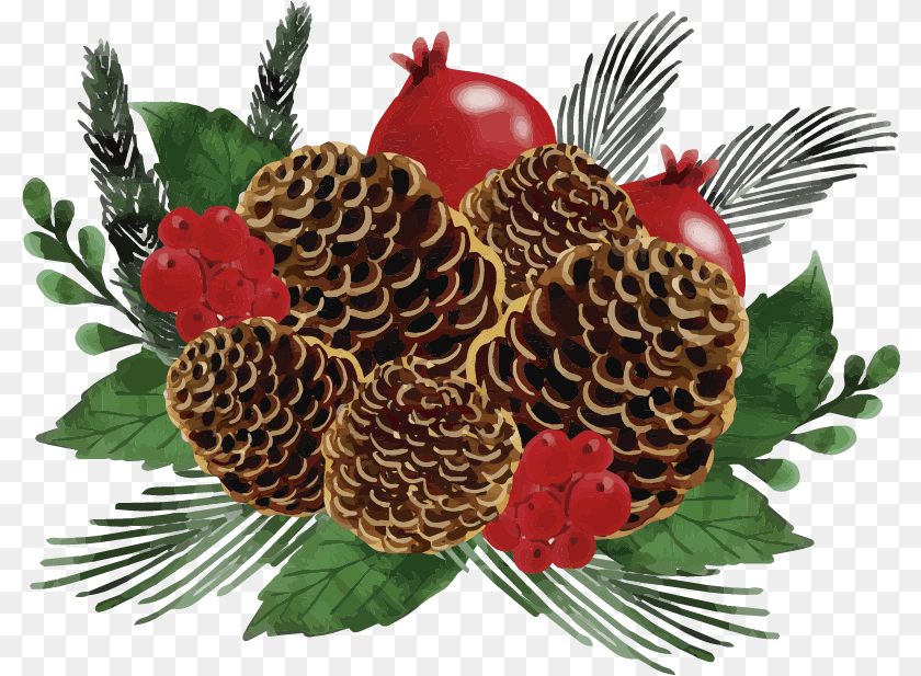 802x617 Christmas Pine Cone Wreath Wall Sticker Sticker, Conifer, Plant, Tree, Animal Transparent PNG
