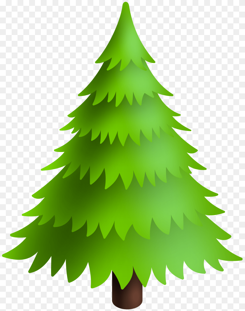 6304x8000 Christmas Pine Tree Green Clip Art, Fir, Plant, Conifer Transparent PNG