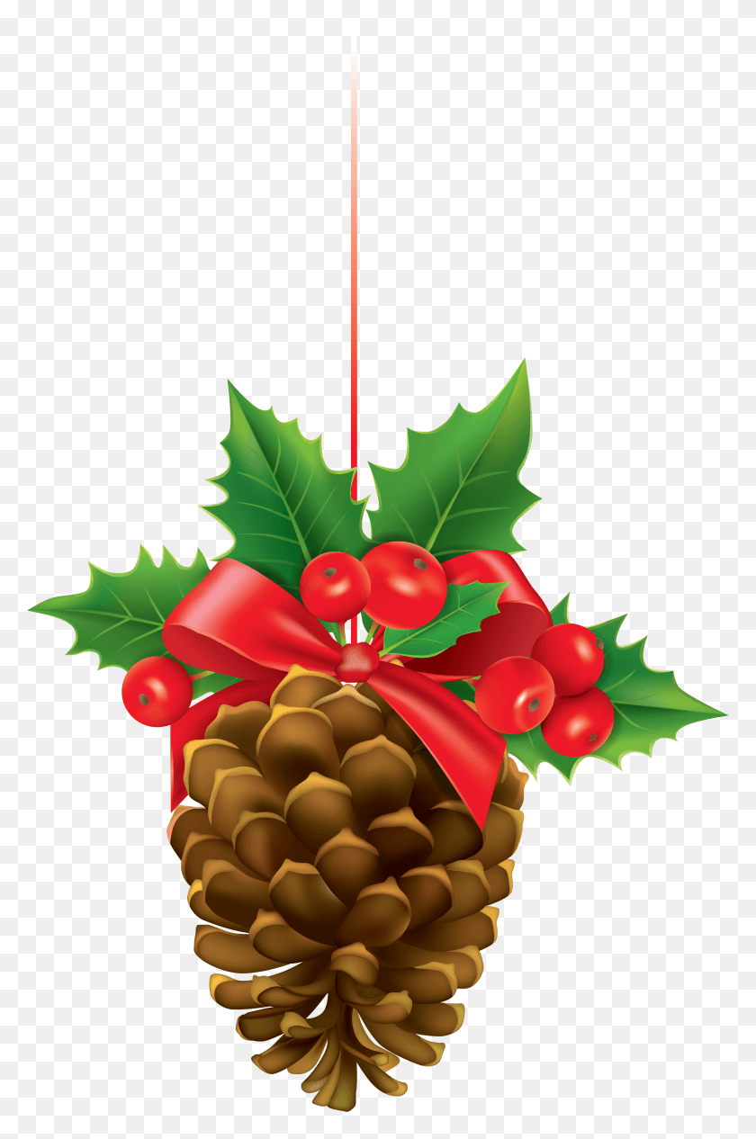 2546x3938 Christmas Pinecone With Mistletoe Clipart Image Free Christmas Pine Cone, Plant, Tree, Fruit HD PNG Download